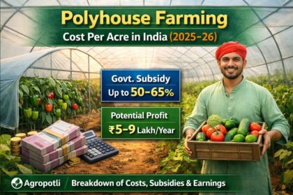 Polyhouse Farming Cost Per Acre in India