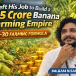 Left Job to Build ₹25 Crore Farming Empire Banana Farming Success Story 70-30 Model