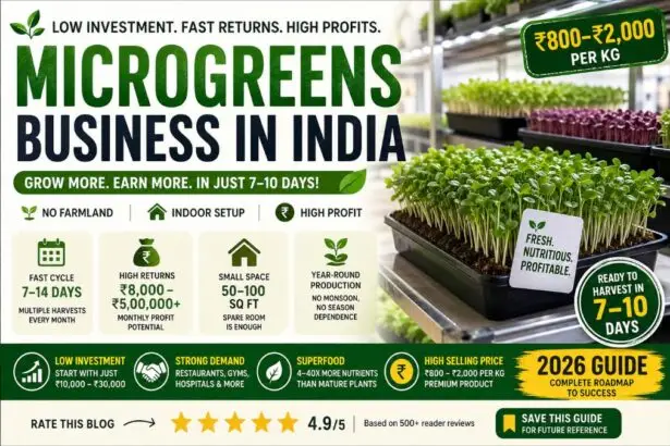 Microgreens Business in India 2026
