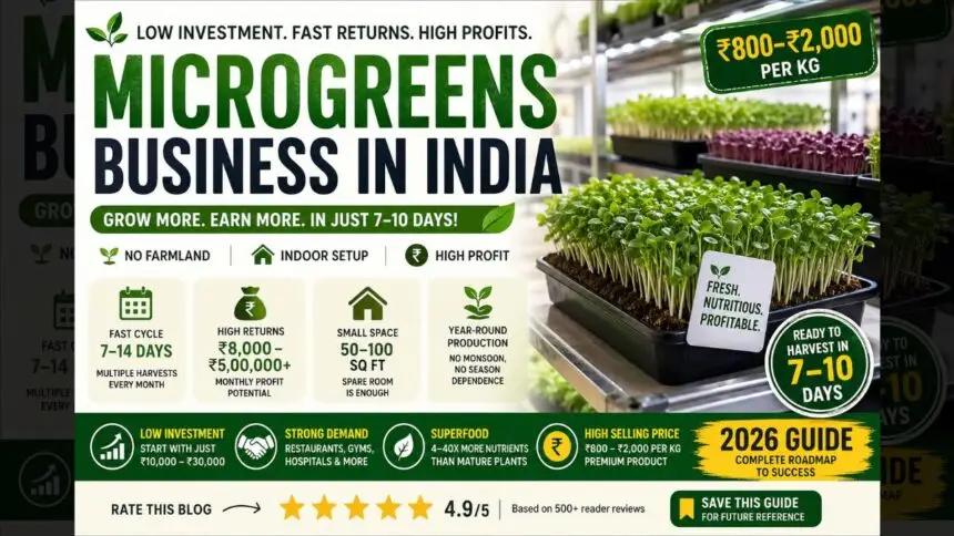 Microgreens Business in India 2026