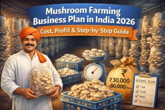 Mushroom Farming Business Plan in India 2026