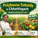 Polyhouse Subsidy in Chhattisgarh 2026