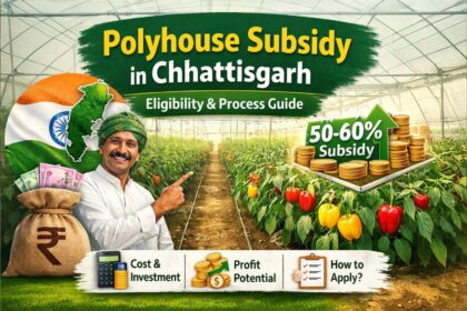 Polyhouse Subsidy in Chhattisgarh 2026