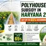Polyhouse Subsidy in Haryana 2026