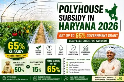 Polyhouse Subsidy in Haryana 2026