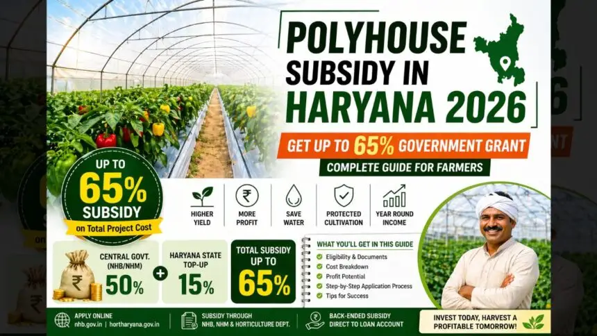 Polyhouse Subsidy in Haryana 2026