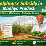 Polyhouse Subsidy in Madhya Pradesh