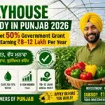 Polyhouse Subsidy in Punjab