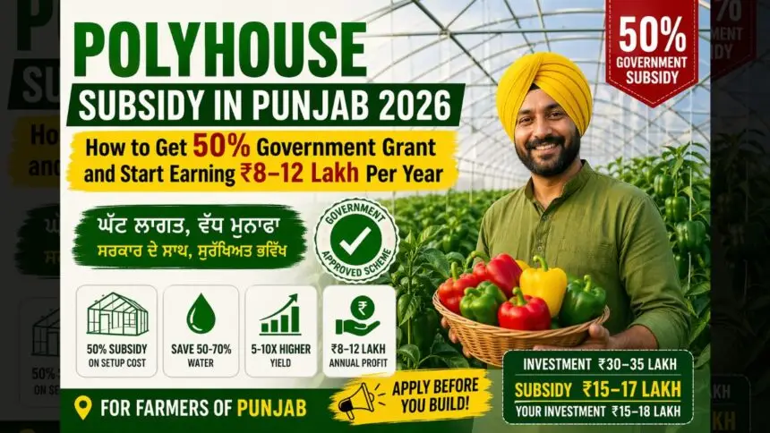 Polyhouse Subsidy in Punjab