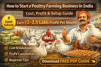 How to Start a Poultry Farming Business in India