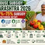 Polyhouse Subsidy in Maharashtra 2026: How to Get Up to 65% Grant and Earn ₹8–12 Lakh Per Acre