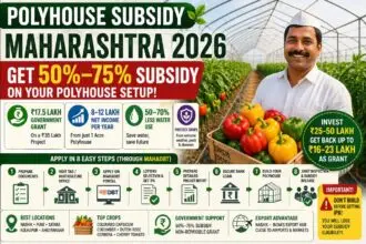 Polyhouse Subsidy in Maharashtra 2026: How to Get Up to 65% Grant and Earn ₹8–12 Lakh Per Acre