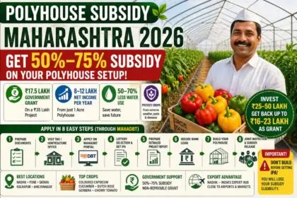 Polyhouse Subsidy in Maharashtra 2026: How to Get Up to 65% Grant and Earn ₹8–12 Lakh Per Acre