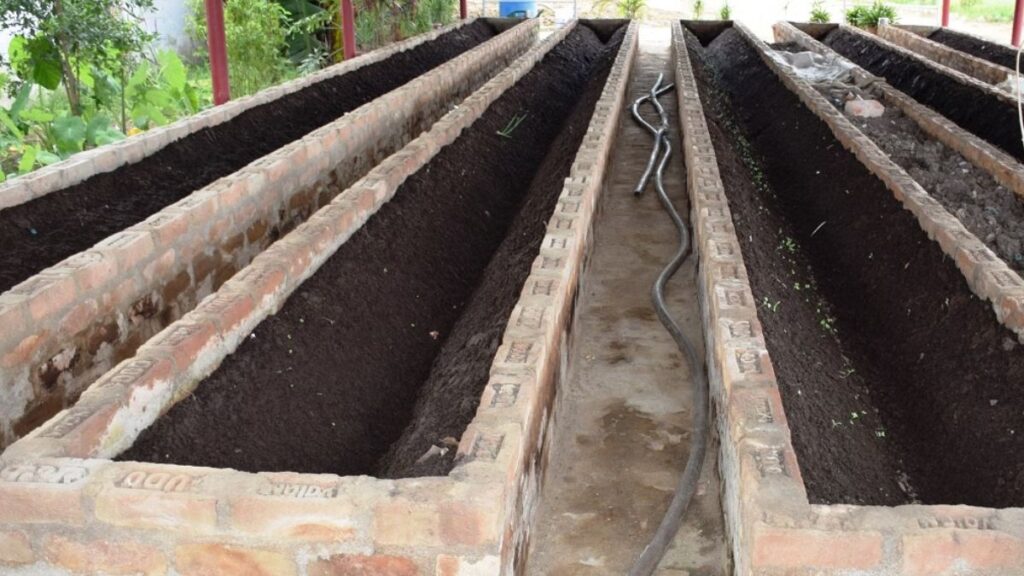 vermicompost beds