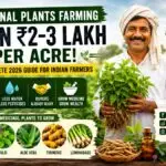 Medicinal Plants Farming in India 2026