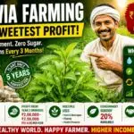 Stevia Farming in India 2026