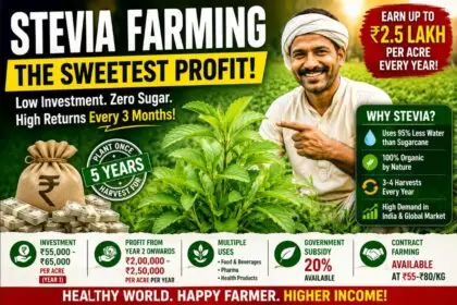 Stevia Farming in India 2026