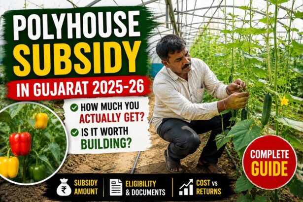 Polyhouse Subsidy in Gujarat 2025-26