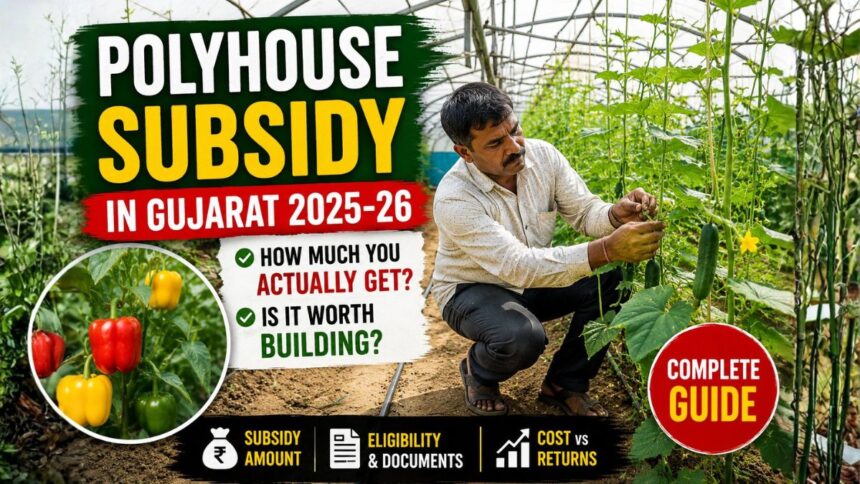 Polyhouse Subsidy in Gujarat 2025-26