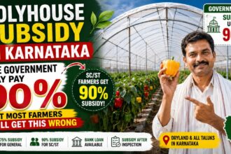 Polyhouse subsidy in Karnataka