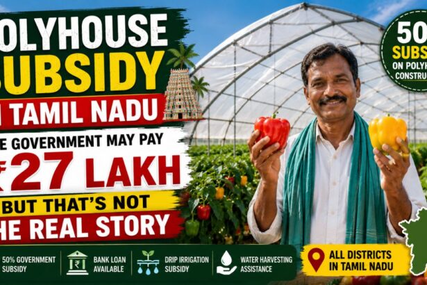Polyhouse subsidy in Tamil Nadu