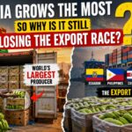 Banana Export