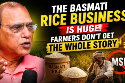 Basmati Rice Farming Business