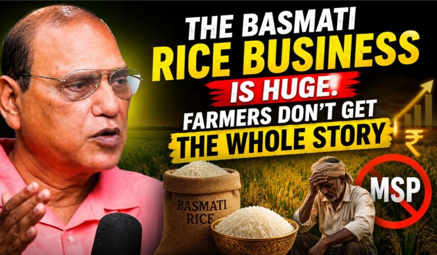 Basmati Rice Farming Business