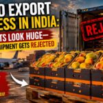 Mango Export Business in India