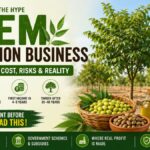 Neem Plantation Business: The Truth About Profits, Income & Why Most Farmers Get It Wrong