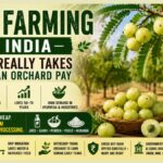 Amla Farming Looks Like Easy Money. Here's Why Many Growers Struggle to Profit