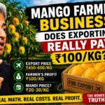 mango farming business