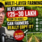 Multi Layer Farming