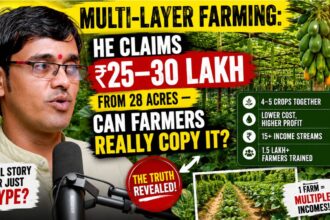 Multi Layer Farming